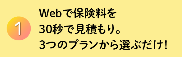 Webで保険料を30秒見積もり。3つのプランから選ぶだけ!